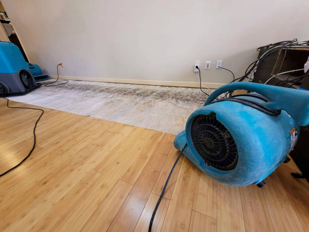 Professional Water Removal technician working in Eugene, OR